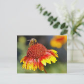 Carte Postale Abee (Debout devant)