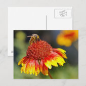 Carte Postale Abee (Devant / Derrière)