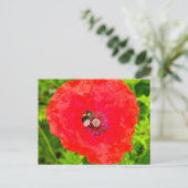 Carte Postale Abee (Debout devant)