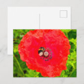Carte Postale Abee (Devant / Derrière)