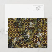 Carte Postale Abee (Devant / Derrière)