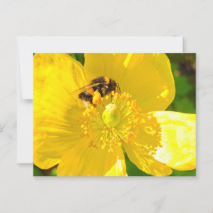 Carte Postale Abee