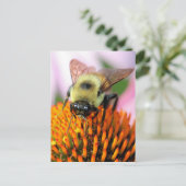 Carte Postale Abee (Debout devant)