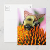 Carte Postale Abee (Devant / Derrière)