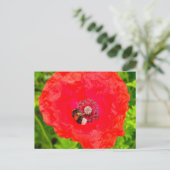 Carte Postale Abee (Debout devant)