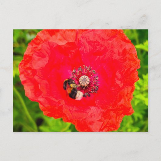 Carte Postale Abee (Devant)