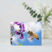 Carte Postale Abee (Debout devant)