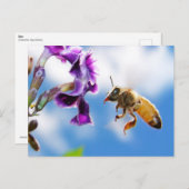 Carte Postale Abee (Devant / Derrière)