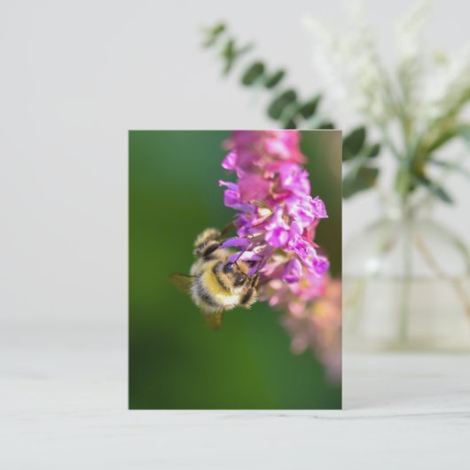 Carte Postale Abee (Debout devant)