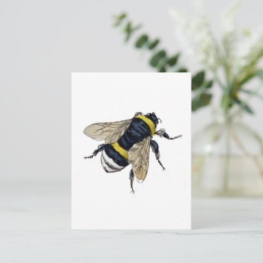 Carte Postale Abee (Debout devant)