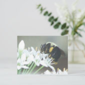 Carte Postale Abee (Debout devant)