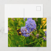 Carte Postale Abee (Devant / Derrière)