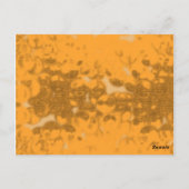 Carte Postale abeille (Dos)