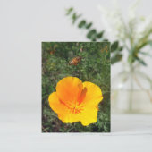 Carte postale Abeille (Debout devant)