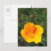 Carte postale Abeille (Devant / Derrière)