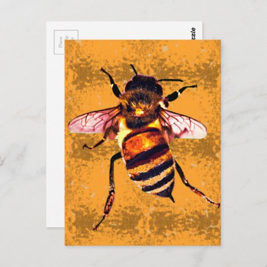 Carte Postale abeille (Devant / Derrière)