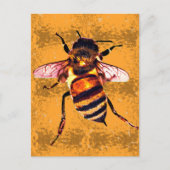 Carte Postale abeille (Devant)