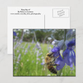 Carte Postale Abeille 4 occupée (Devant / Derrière)