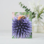 Carte Postale Abeille à Miel sur Fleur de Chardon Globe Pourpre (Debout devant)