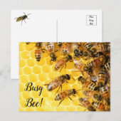 Carte Postale Abeille active, Bourdon, Rucher (Devant / Derrière)