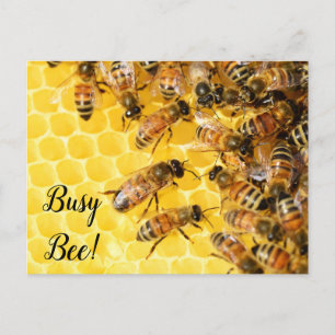 Carte Postale Abeille active, Bourdon, Rucher