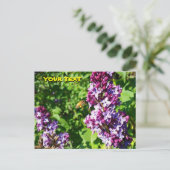 Carte postale Abeille aime les lilas  (Debout devant)