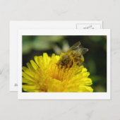 Carte postale Abeille au travail (Devant / Derrière)