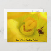 Carte Postale Abeille dans la fleur de courgette (Devant / Derrière)