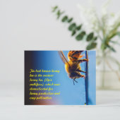 Carte postale Abeille de miel (Debout devant)