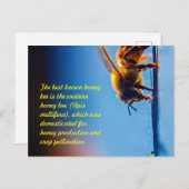 Carte postale Abeille de miel (Devant / Derrière)