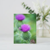 Carte Postale Abeille de miel et chardon (Debout devant)