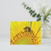 Carte Postale Abeille de miel se nourrit de tournesol (Debout devant)