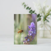 Carte Postale Abeille de miel sur Lavender (Debout devant)