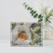 Carte Postale Abeille dormante (Debout devant)
