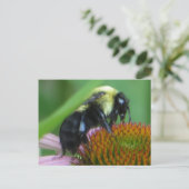 Carte Postale Abeille en Gros Plan (Debout devant)