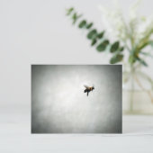 Carte Postale abeille en vol (Debout devant)