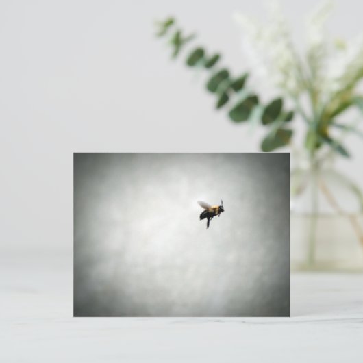 Carte Postale abeille en vol (Debout devant)