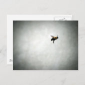 Carte Postale abeille en vol (Devant / Derrière)