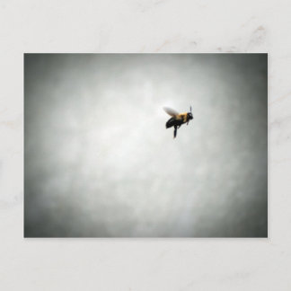 Carte Postale abeille en vol