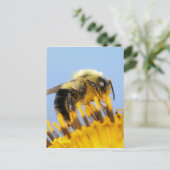 Carte Postale Abeille endormie (Debout devant)