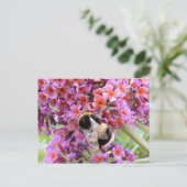 Carte Postale Abeille et bouddlie (Debout devant)