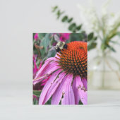 Carte Postale Abeille et Echinacée (Debout devant)