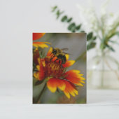 Carte postale Abeille et Fleur (Debout devant)