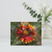 Carte Postale Abeille et fleurs (Debout devant)