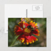Carte Postale Abeille et fleurs (Devant / Derrière)