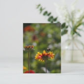 Carte Postale Abeille et fleurs (Debout devant)
