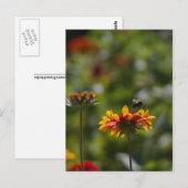 Carte Postale Abeille et fleurs (Devant / Derrière)