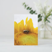 Carte postale Abeille et tournesol (Debout devant)