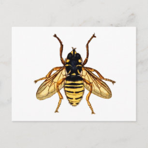 Carte Postale Abeille jaune vintage