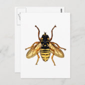 Carte Postale Abeille jaune vintage (Devant / Derrière)